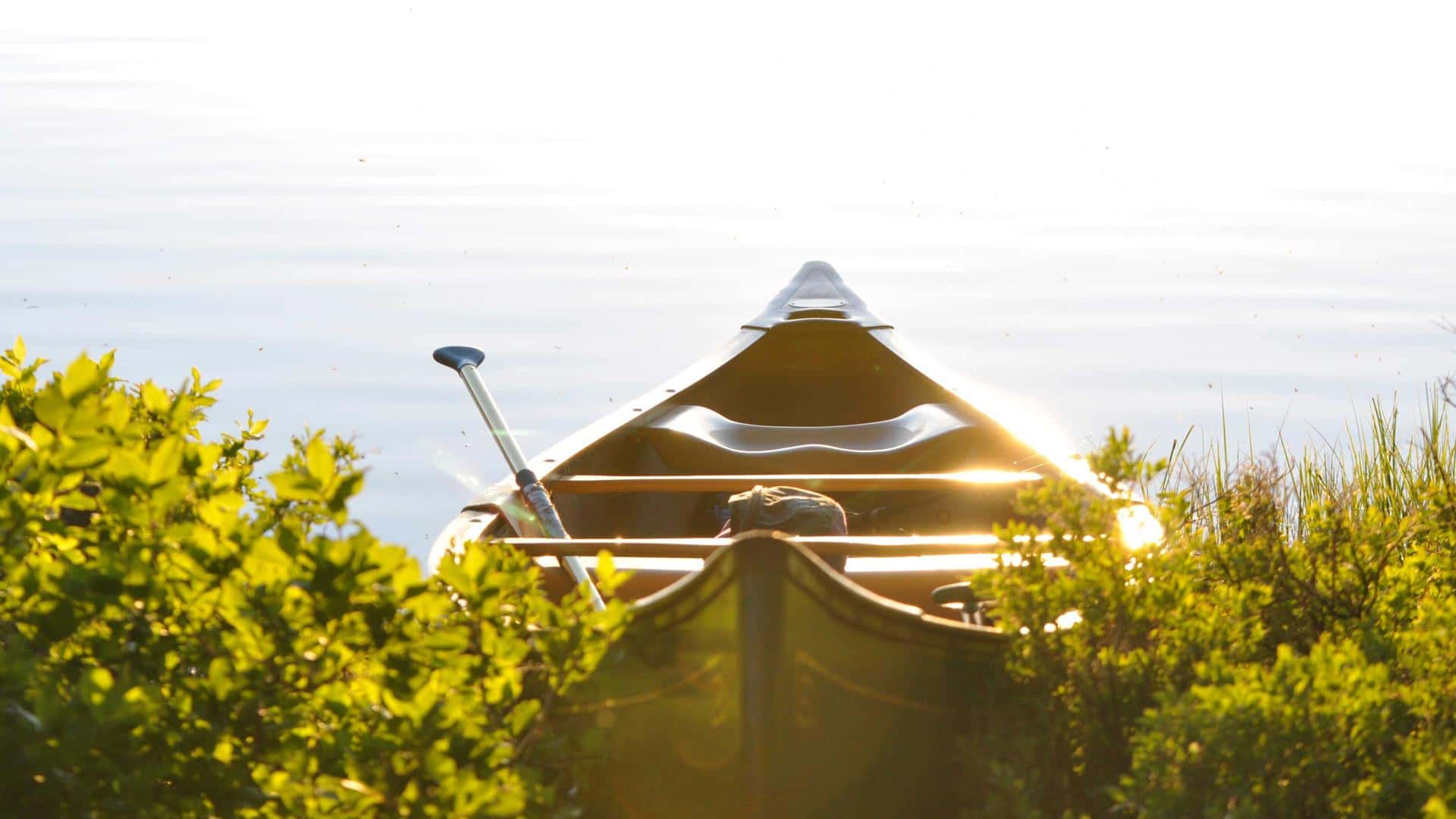 VILLA BALI thumbnail 1