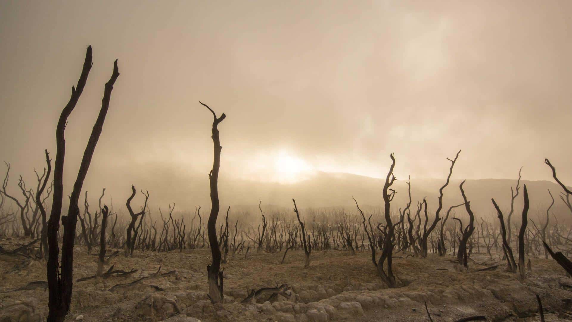 Corvette C8 Stingray Rental in Miami thumbnail 3