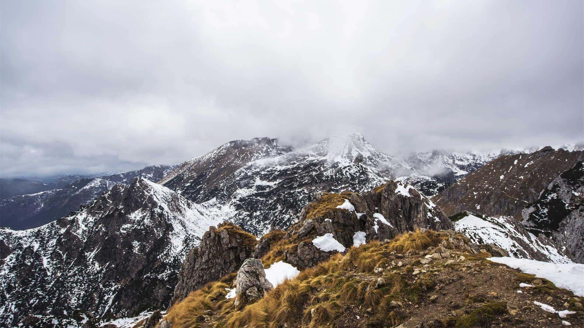 Cadillac Escalade ESV Rental in Miami thumbnail 2