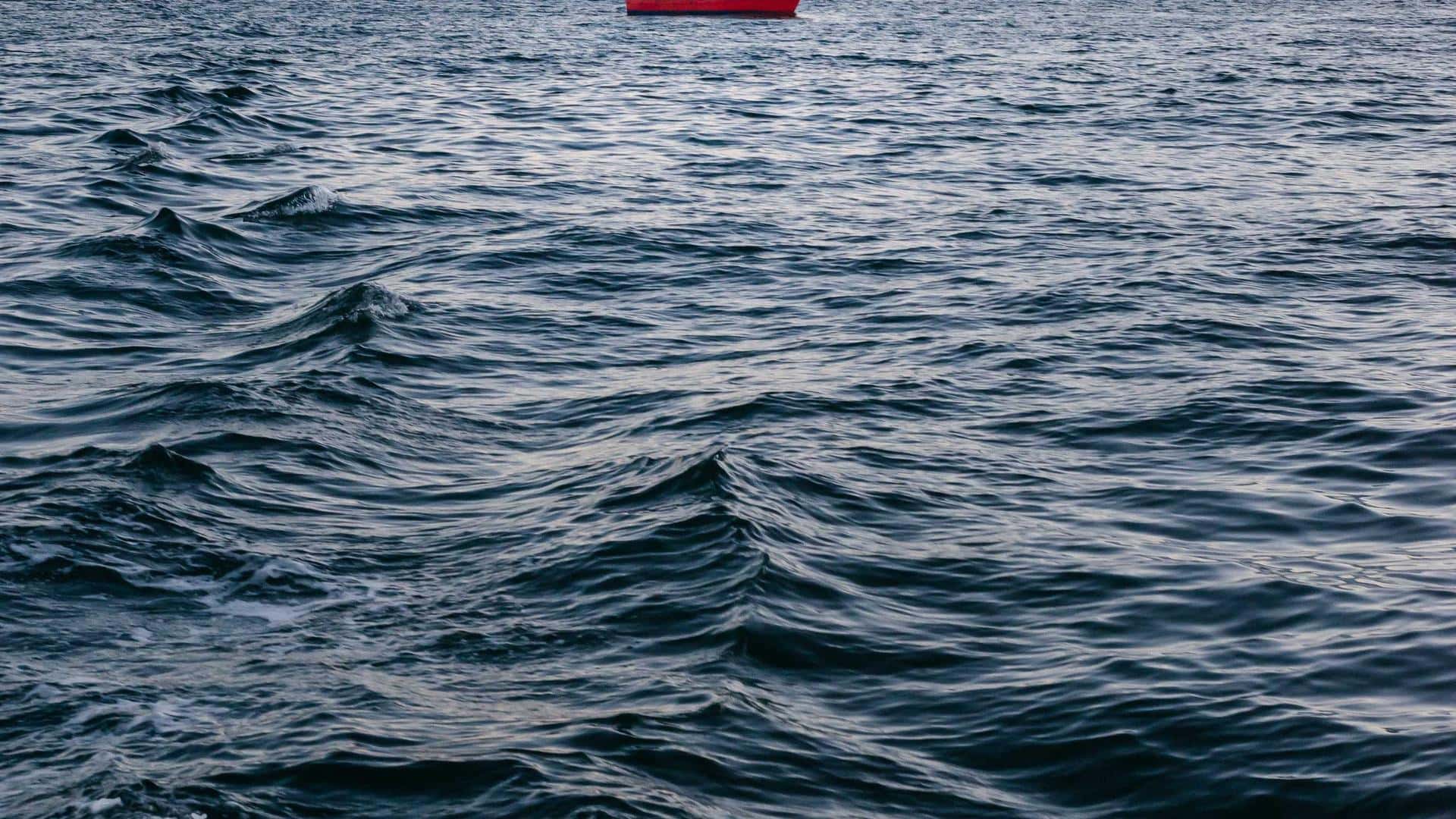 BMW M8 Gran Coupe Rental in Miami thumbnail 3