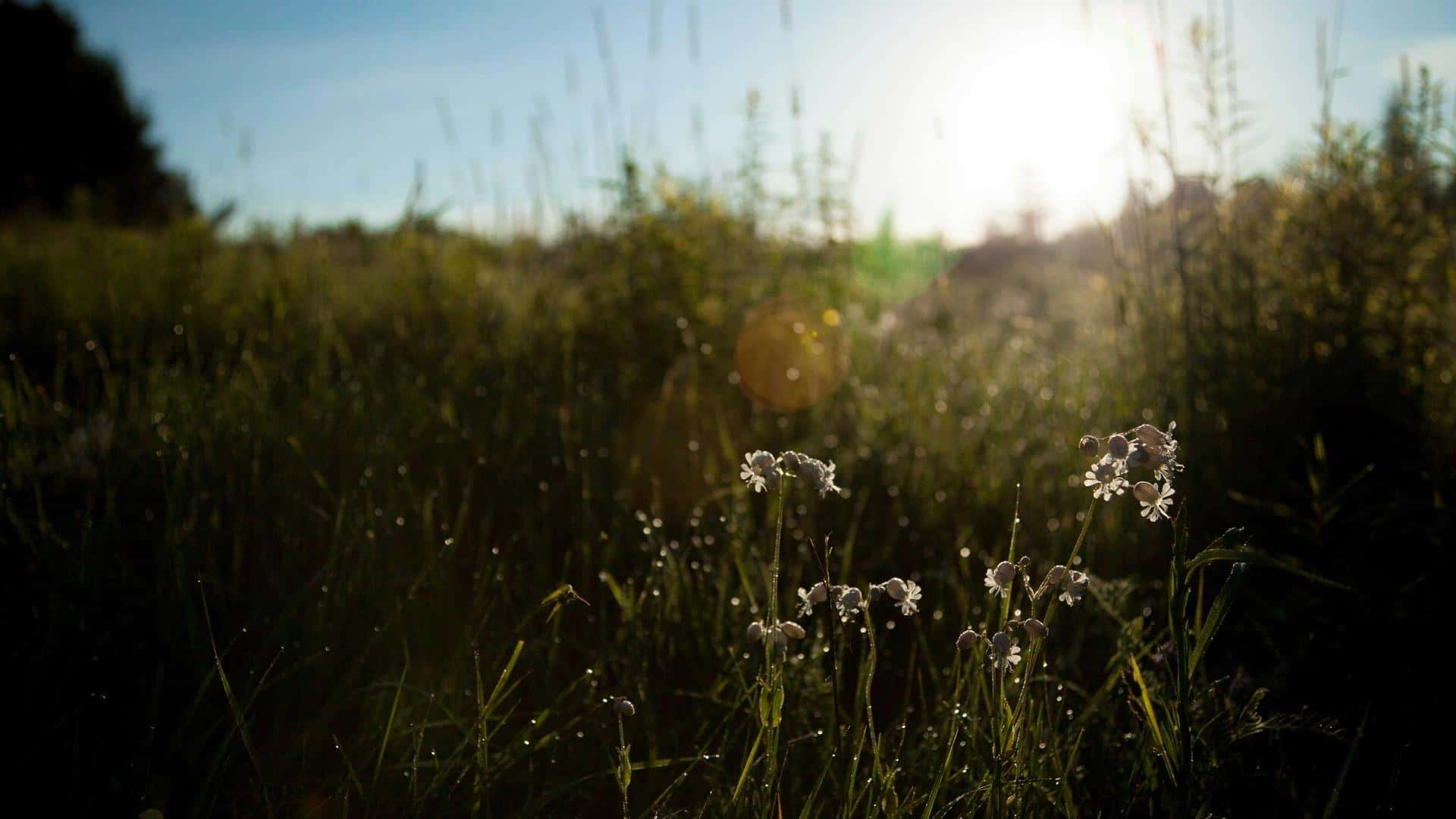 Villa Milli Rental in Miami thumbnail 2