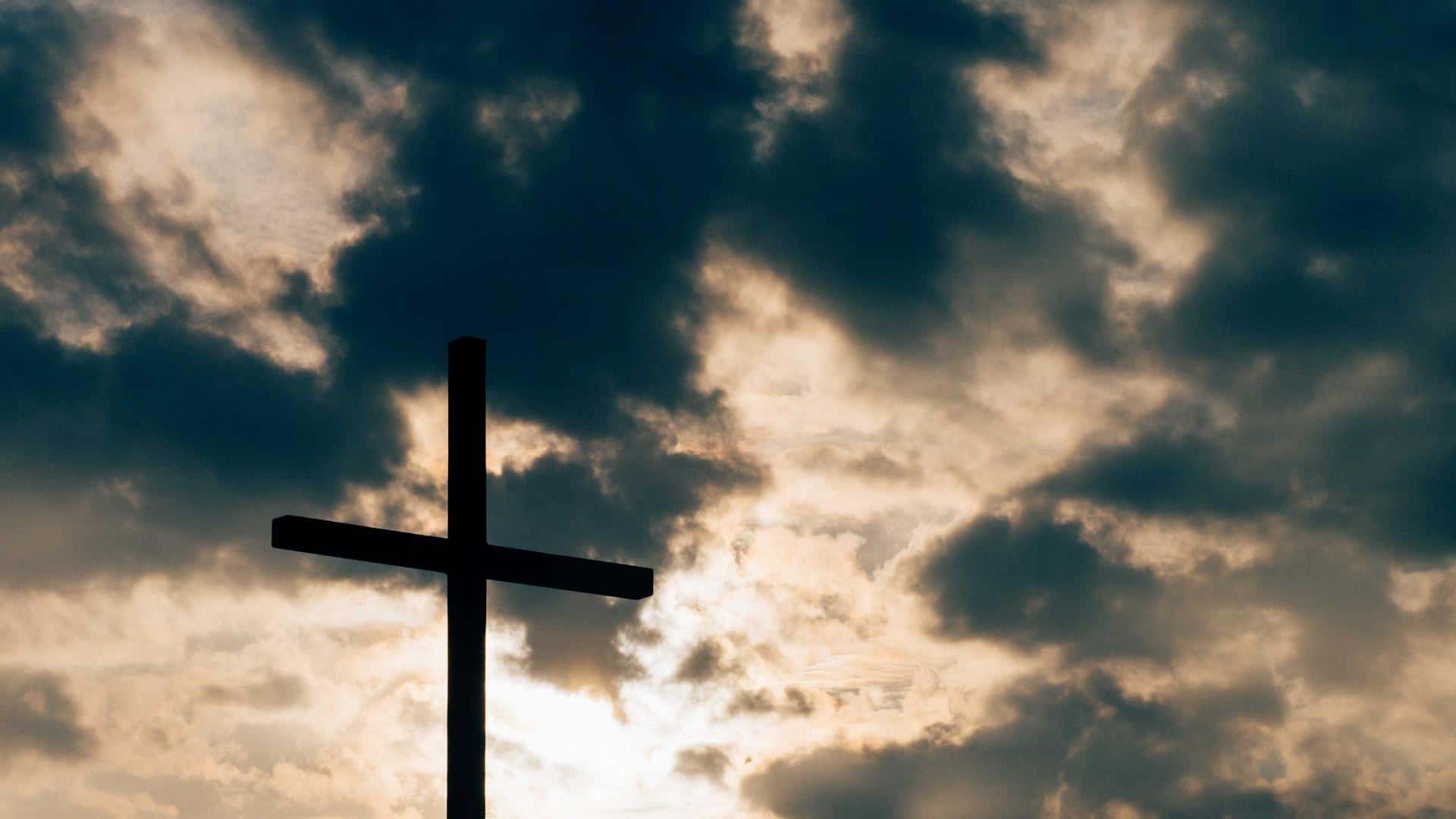 Ferrari Purosangue Rental in Miami thumbnail 5