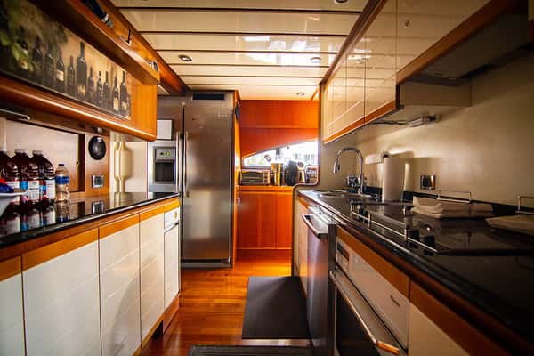 Paladin 100' thumbnail 3