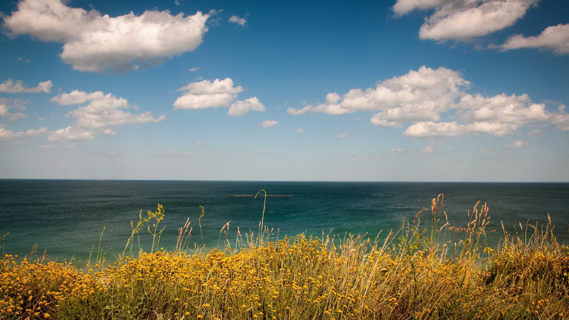 Top 5 Yacht Charter Destinations in Biscayne Bay