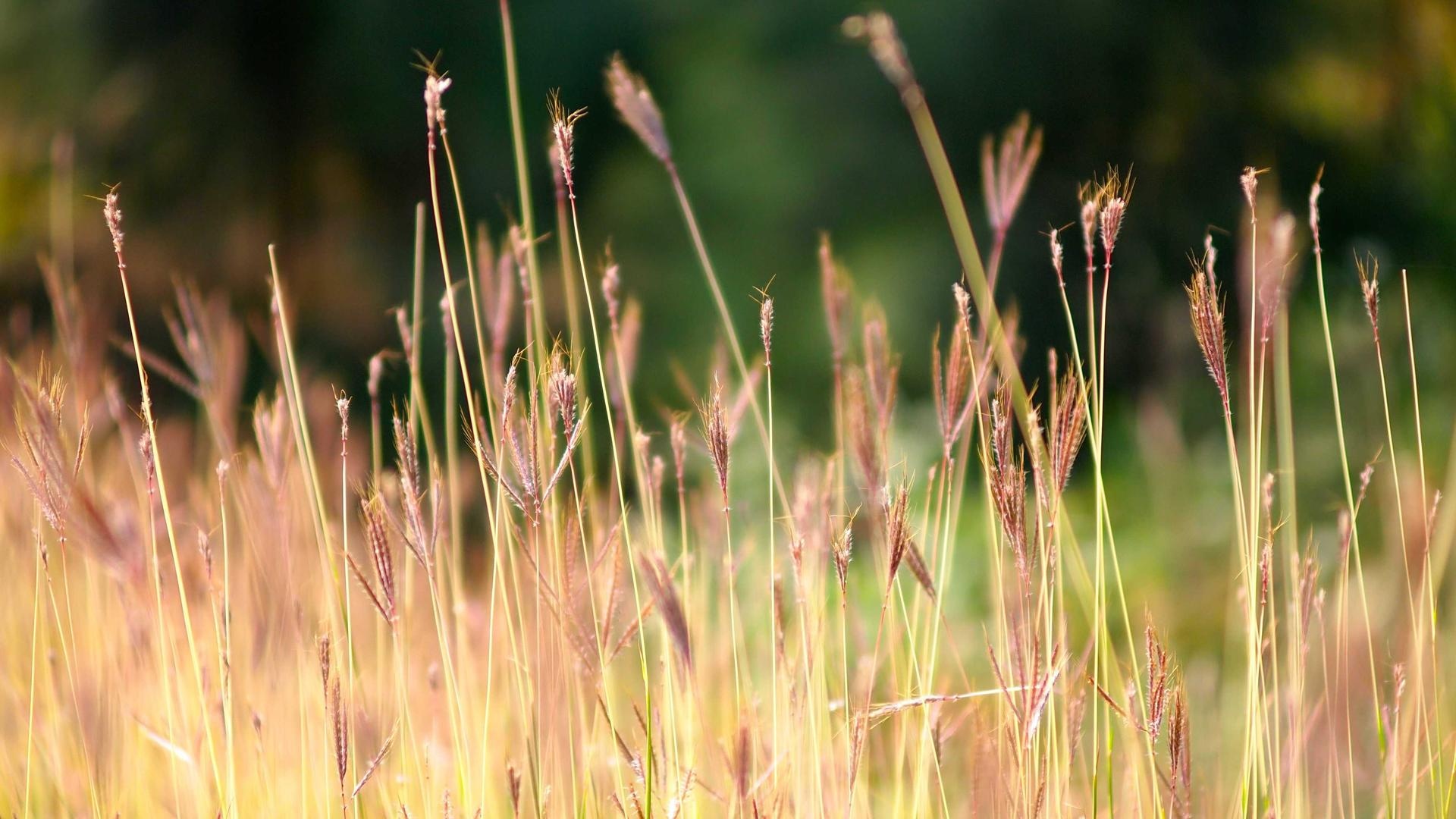 VILLA LINDA - Image 1